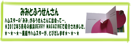 ミニしかけ絵本・みみとふうせんさん