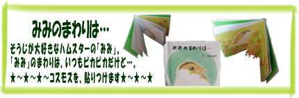 ミニしかけ絵本・みみのまわりは…