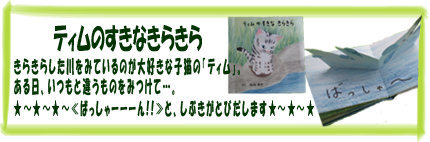 ミニしかけ絵本・ティムのすきなきらきら