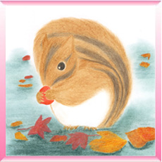 シマリス「りっきー」