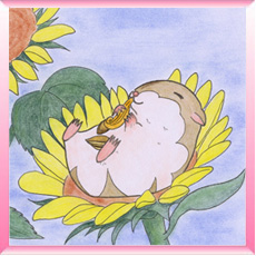 ひまわりの上の「みみ」
